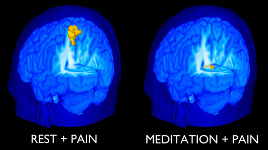 meditacion, soy presencia, mindfulness, reiki, cursos de mindfulness, cursos de reiki, cursos de meditacion
